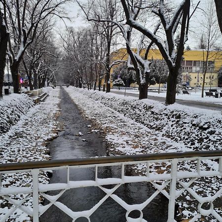 Appartamento Apartman Esperanza Vrnjačka Banja Esterno foto